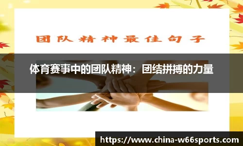 利来66国际官方网站
